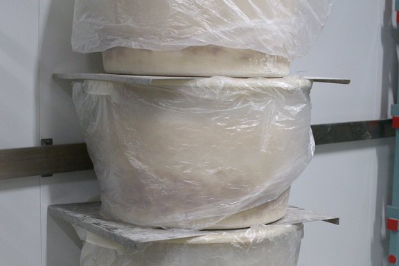 teigruhe-1.jpg